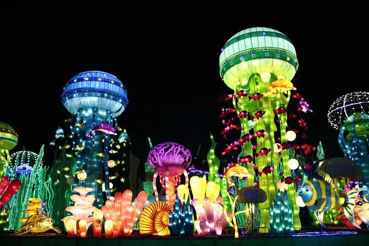 Experience the magic of a garden illuminated by recycled art showcasing intricate designs and colorful installations that inspire creativity and wonder in every corner. Perfect for unforgettable memories.